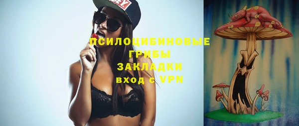 винт Медвежьегорск