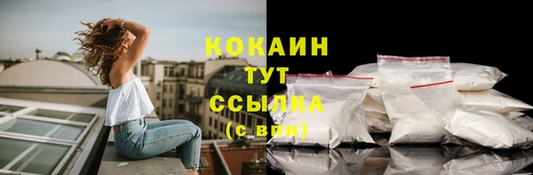 сатива Бабаево