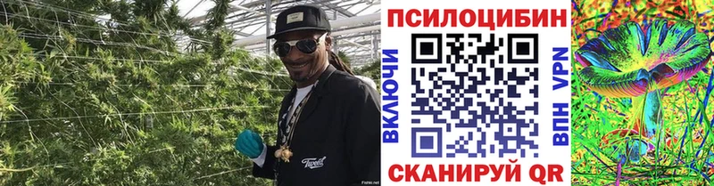 Псилоцибиновые грибы MAGIC MUSHROOMS Нижняя Салда